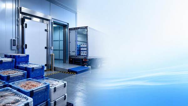 Cold-Chain Infrastructure for Seafood: How to Reduce Spoilage Across Storage and Transport