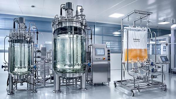 How bioreactor engineering fixes common scale-up failures