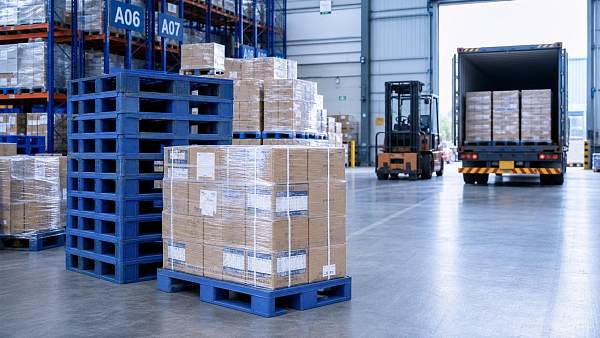 Plastic Pallets Wholesale: How to Balance Price, Durability, and Export Compliance
