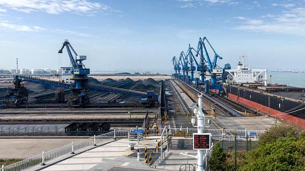 Port Automation Tech for Bulk Terminals: Where Automation Cuts Delay and Throughput Loss