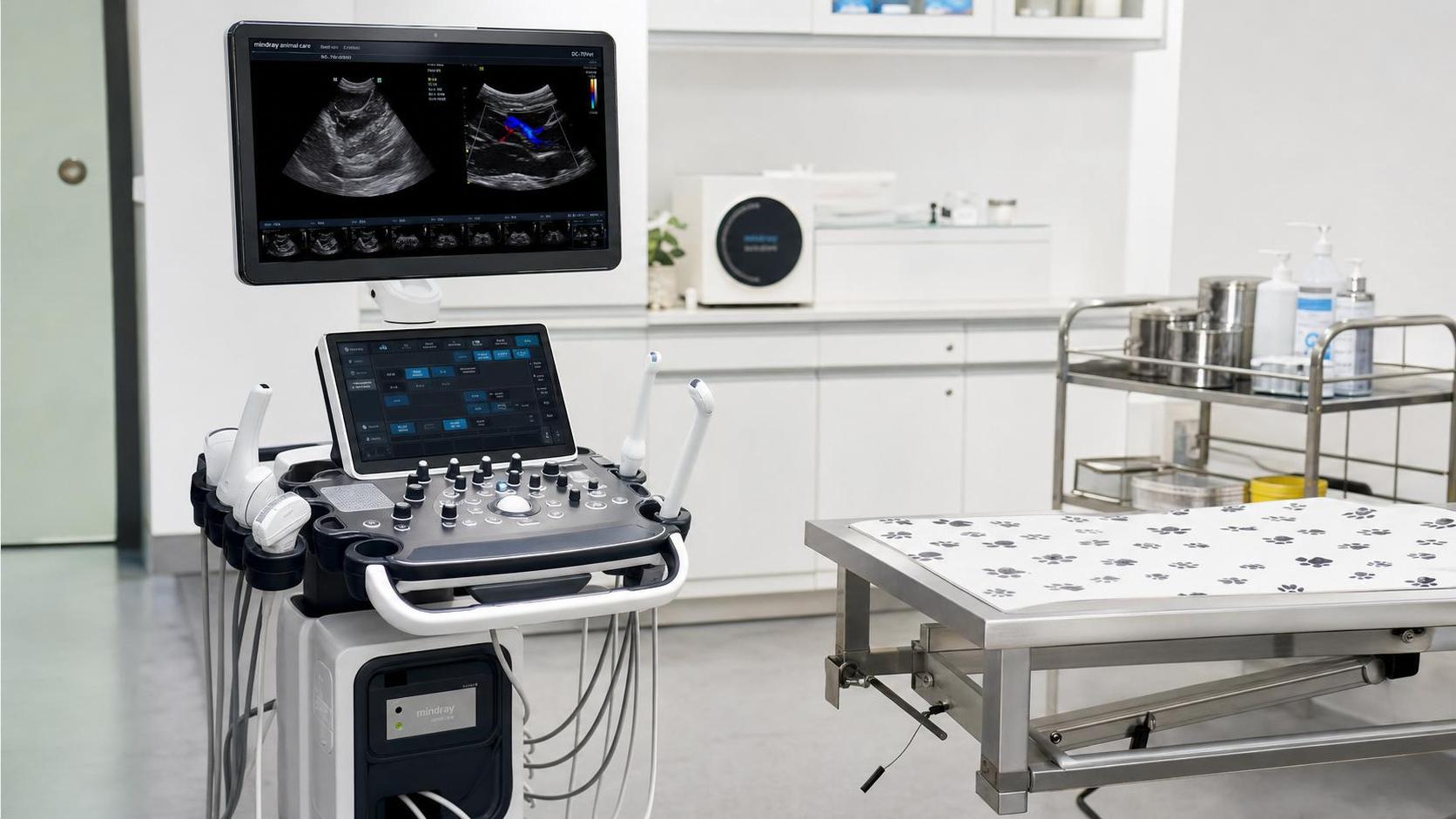 Vet Ultrasound Buying Guide: Key Features That Affect Image Quality and Workflow
