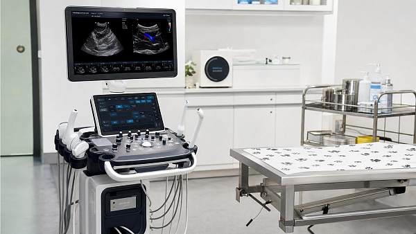 Vet Ultrasound Buying Guide: Key Features That Affect Image Quality and Workflow