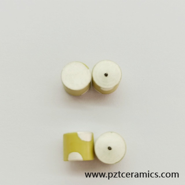 Piezoelectric Ceramic Sensor Piezo Transducer China Manufacturer Customized Products