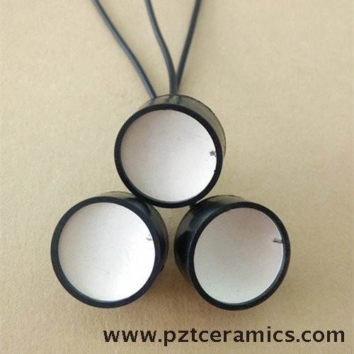 Ultrasonic Focused Transducer Ultrasonic Focused Sensor Ultrasonic Scan