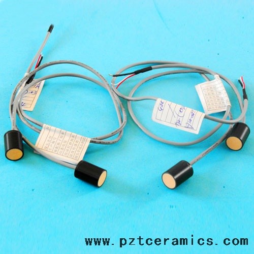 gas sensor (1) Piezoelectric ceramic transducer for medical treatment PZT Ceramics Manufacturer