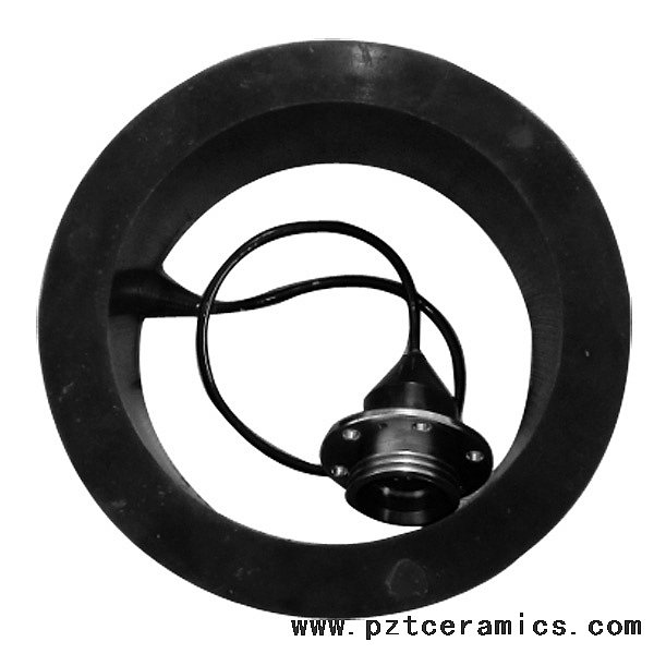 piezoelectric transducer for acoustic transducer