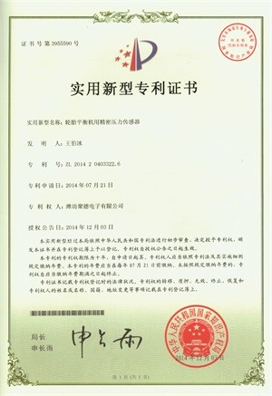 小像素.tif001y - 副本 Piezo Sensor for Tire Balancing Machine