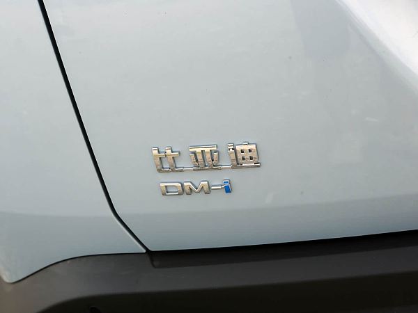 细节-比亚迪宋L DM-i 2026款130KM超越型(4)