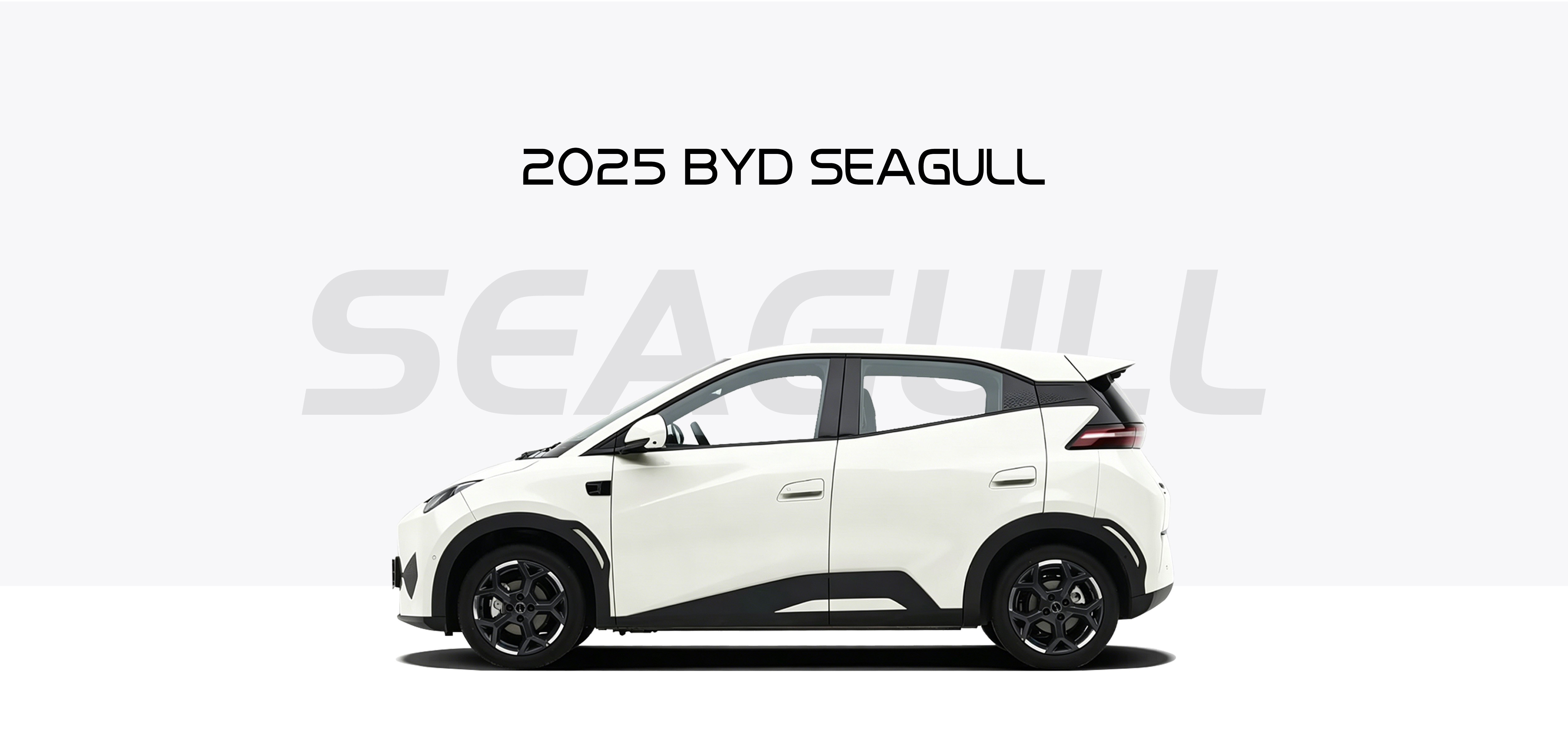 2025 BYD ATTO1/DOLPHIN MINI/Seagull 305km