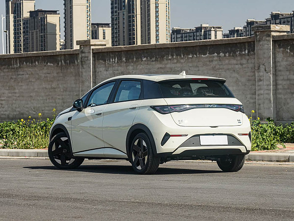 外观-比亚迪海豚2025款智驾版520km骑士版(5)