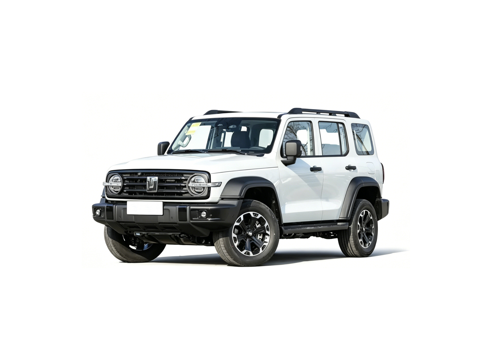 2025 坦克300新能源 白(2)