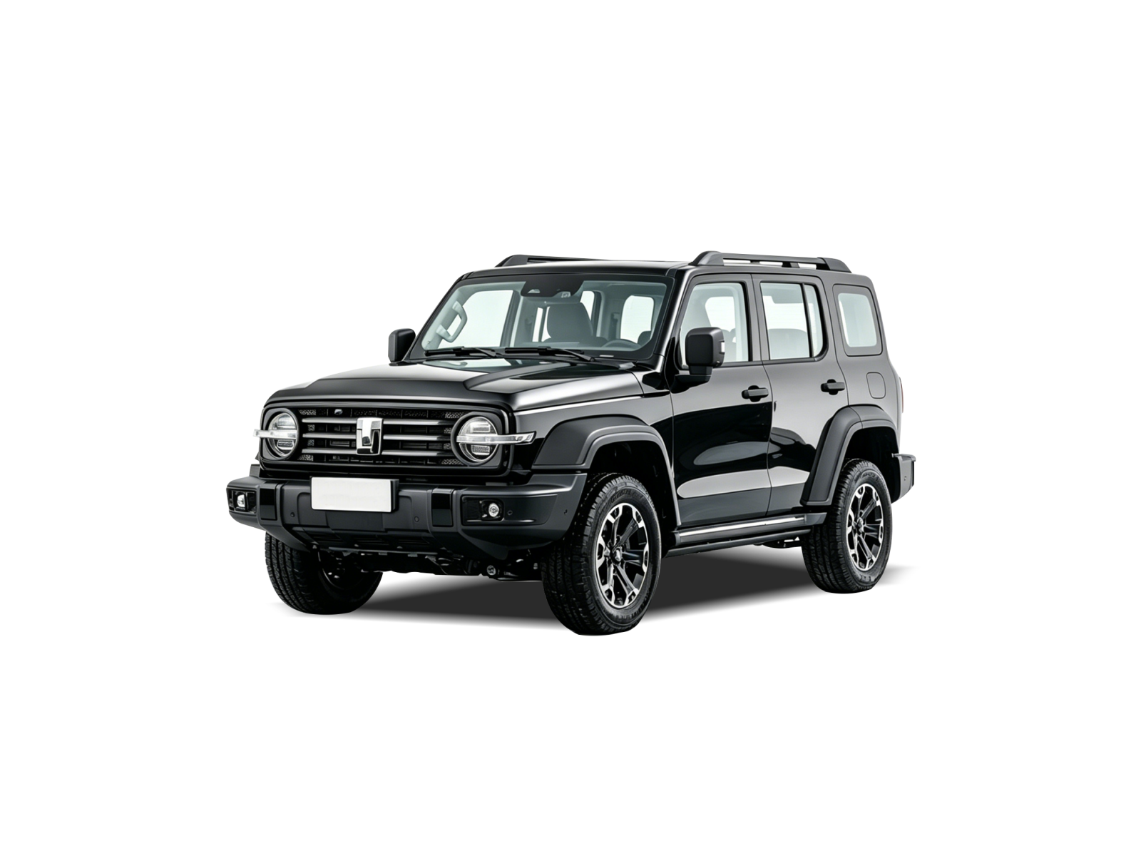2025 坦克300新能源 黑(2)