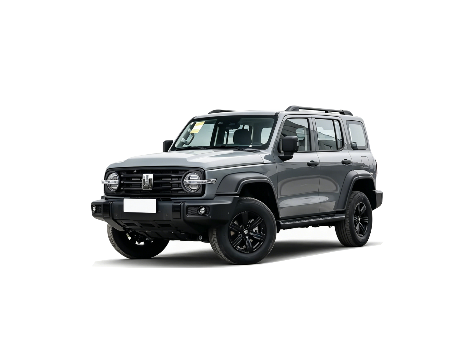 2025坦克300 灰(2)