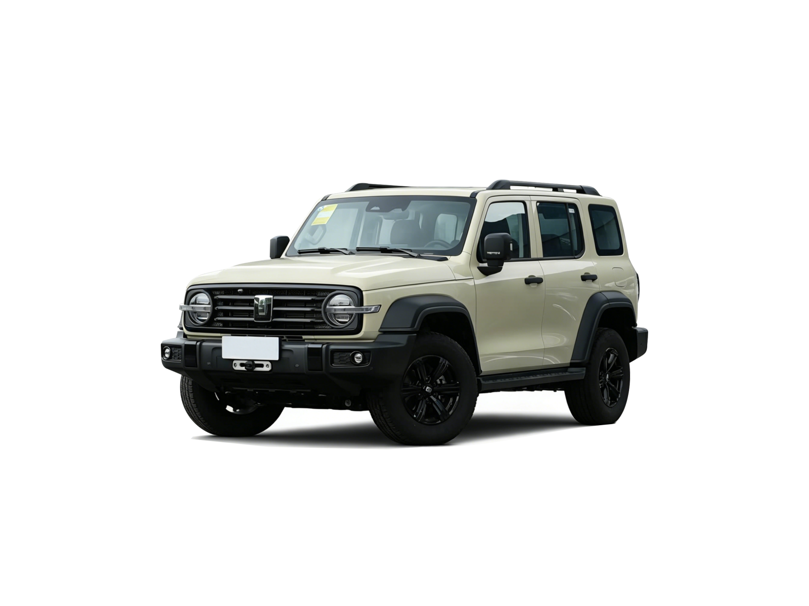 2025坦克300 米(2)