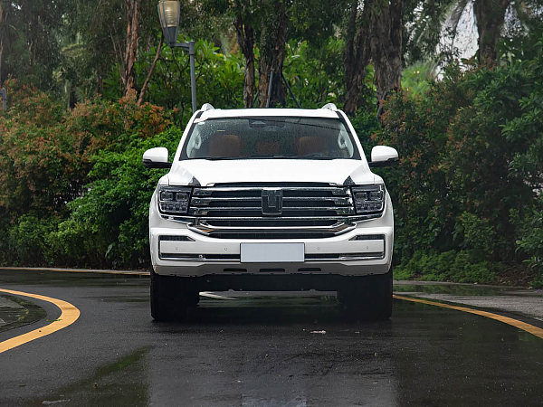 外观-坦克500新能源2026款Hi4-T(2)