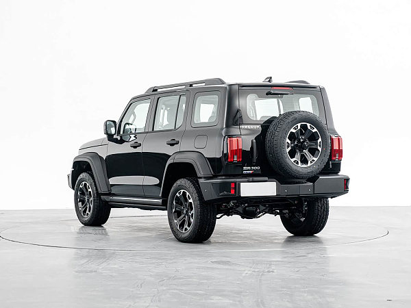 坦克300新能源2025款Hi4-T 37.1kWh(5)