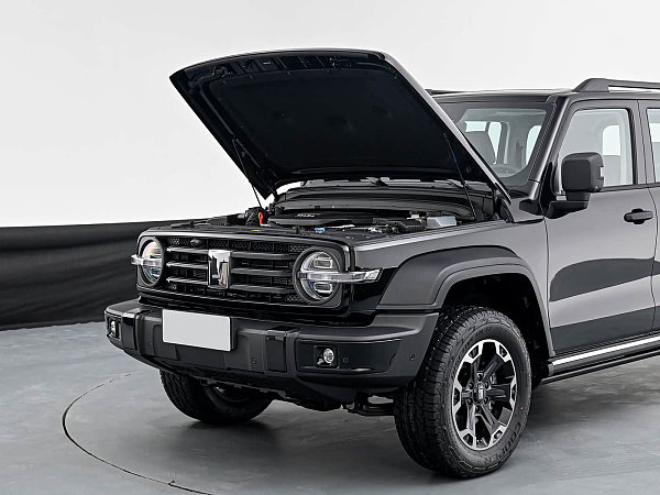 细节-坦克300新能源2025款Hi4-T 37.1kWh(1)