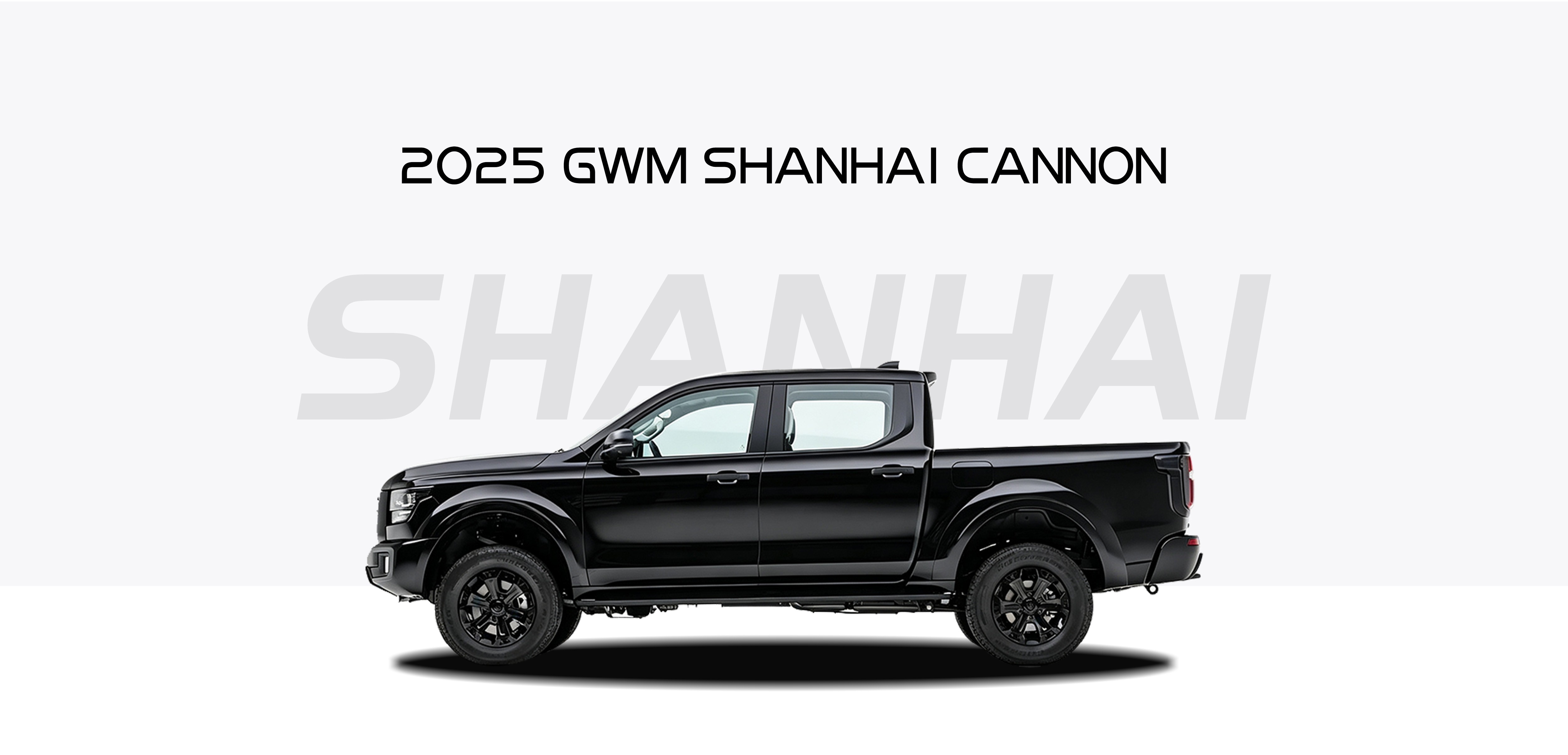 2025 GWM Cannon Alpha/Poer Sahar/P500/Shanhai Cannon 2.4T 2025 GWM Cannon Alpha/Poer Sahar/P500/Shanhai Cannon 2.4T