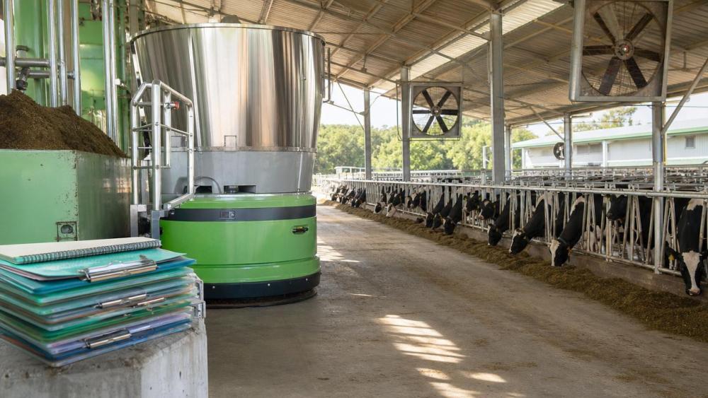 Why livestock farming margins need cleaner records Why livestock farming margins need cleaner records