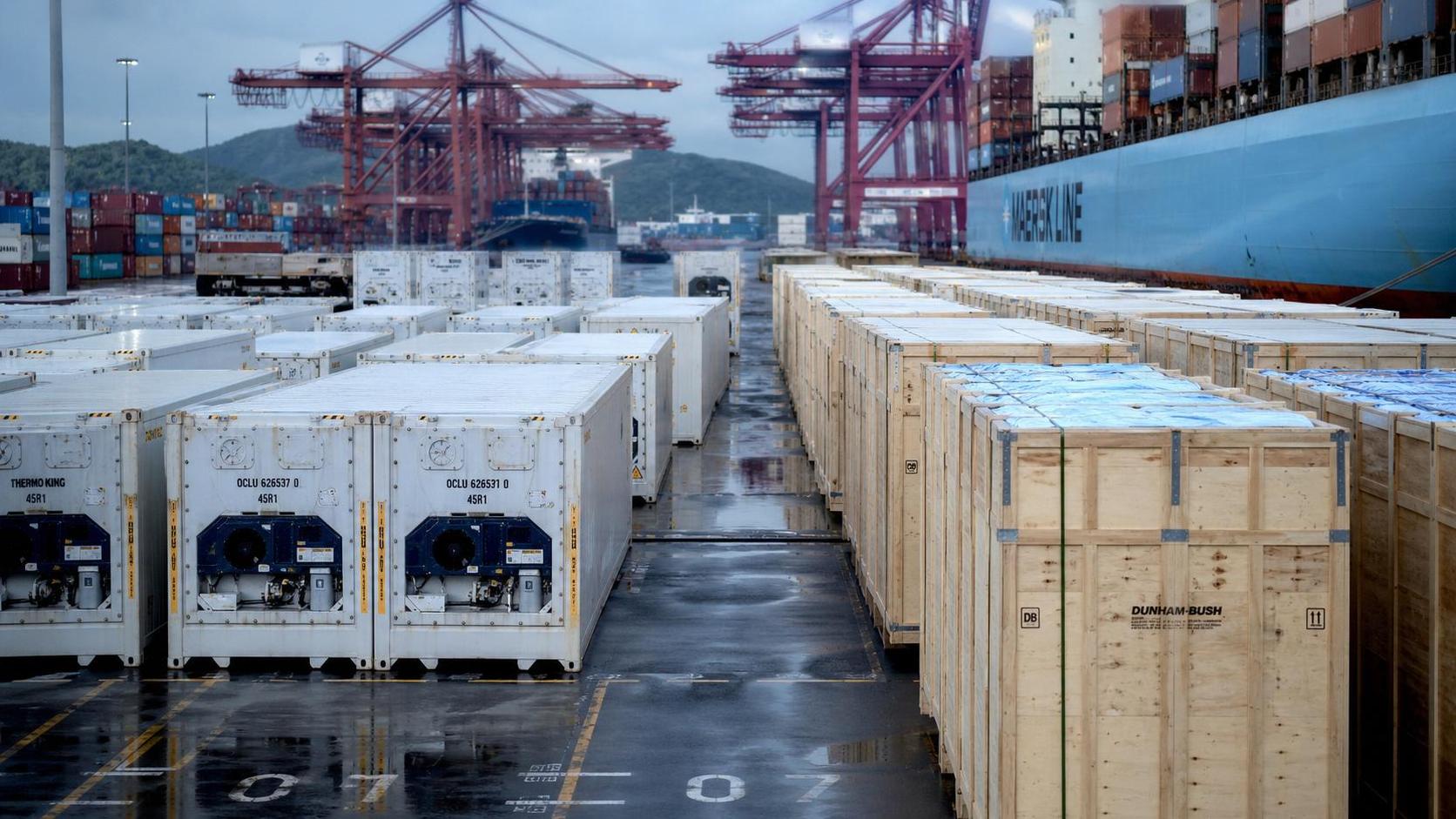 Reefer Shipping Delays Tighten Cold Storage Delivery
