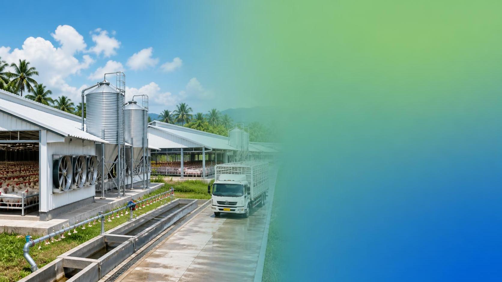 How to Build a Livestock Management Strategy for Southeast Asia’s Climate and Cost Pressures