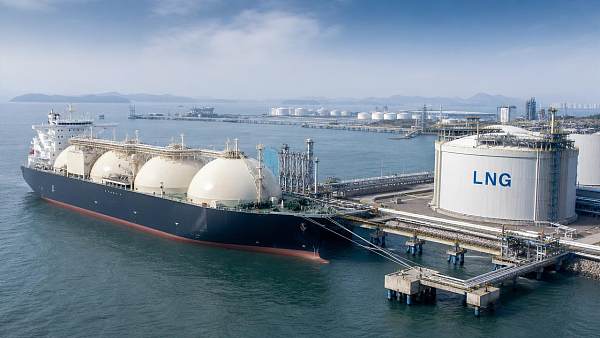 What breaks first in the LNG transport chain during disruptions?