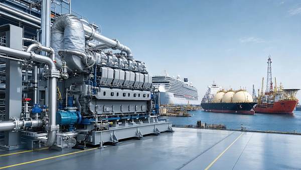 Why do dual-fuel marine engine costs vary by vessel?