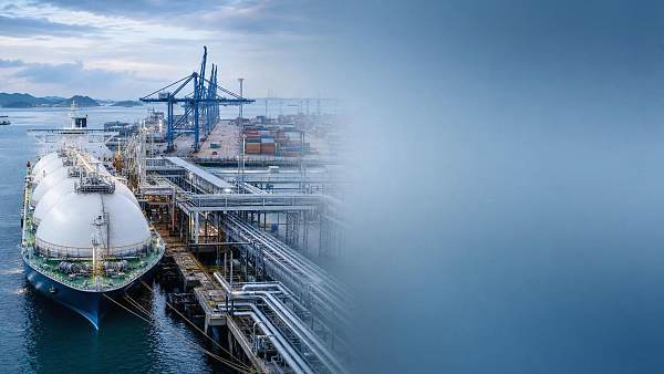 Port Infrastructure Systems Explained: What to Evaluate Before Expansion Projects