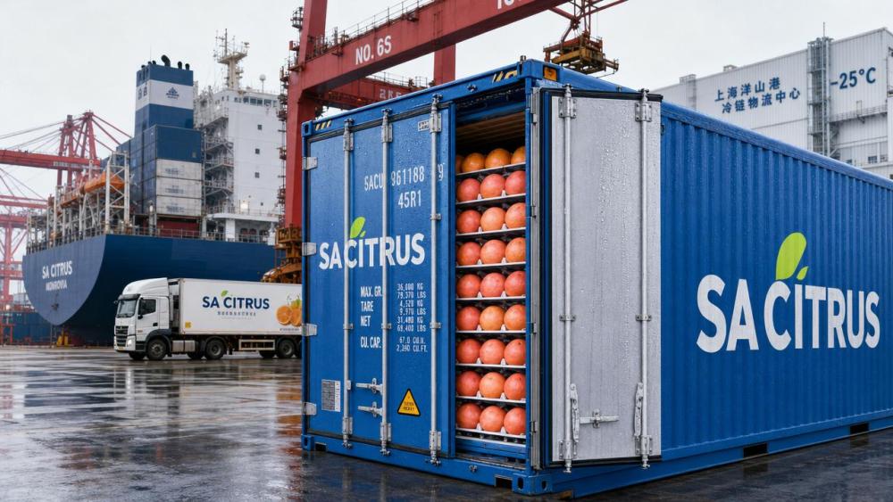 South Africa Grapefruit Enters China Duty-Free; Cold Chain Equipment Demand Rises South Africa Grapefruit Enters China Duty-Free; Cold Chain Equipment Demand Rises