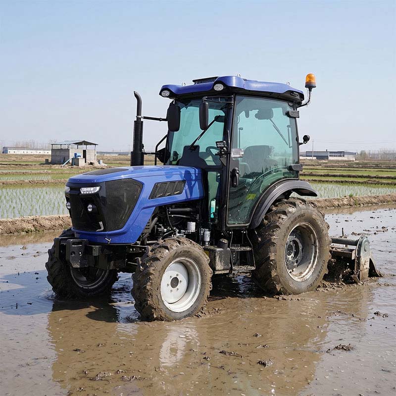 Paddy-field-work