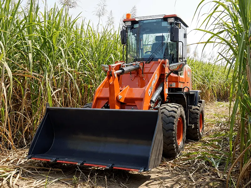 How Wheel Loaders Improve Sugarcane Field Work