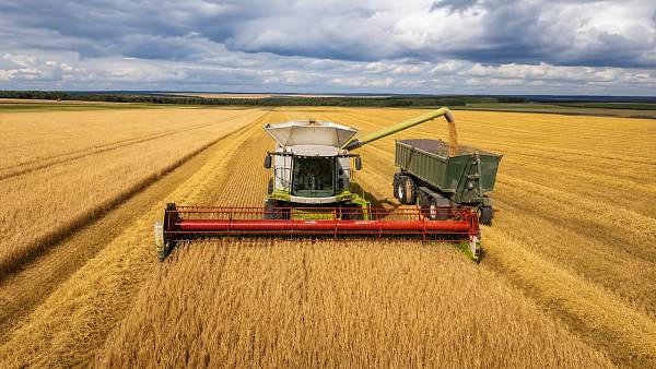 Why high-efficiency harvesting matters in tight harvest windows