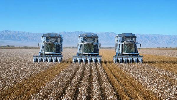 Xinjiang XPCC Cotton Full Mechanization Rate Hits 98.86%