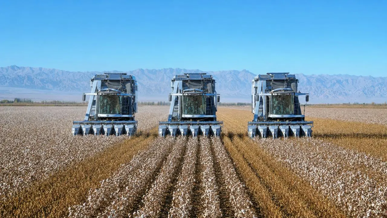 Xinjiang XPCC Cotton Full Mechanization Rate Hits 98.86%
