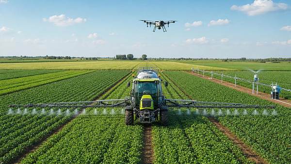 Can precision agriculture lower costs without hurting yield?