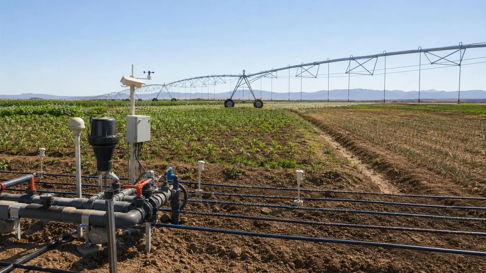 Intelligent Irrigation Systems for Water-Stressed Fields: Which Setup Fits Best?