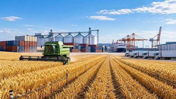 Food Security Risks in Modern Supply Chains: What Businesses Should Track First