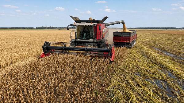 Combine Harvesting Technology: 7 Practical Ways to Reduce Grain Loss in the Field