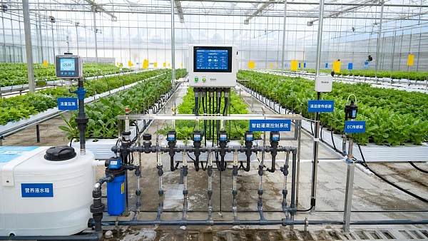 Intelligent Irrigation Systems for Greenhouses: Sensors, Control Logic, and ROI