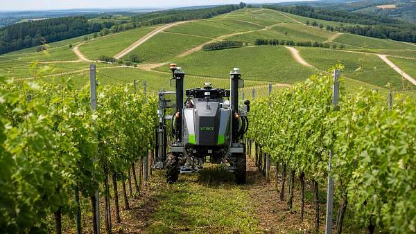 How to Evaluate Autonomous Machinery for Vineyards by Terrain, Tasks, and ROI
