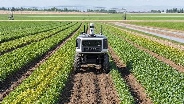 How Autonomous Machinery for Crop Scouting Helps Growers Detect Field Issues Earlier