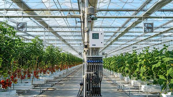 How Smart Cultivation Solutions Improve Yield Control in Greenhouse Farming