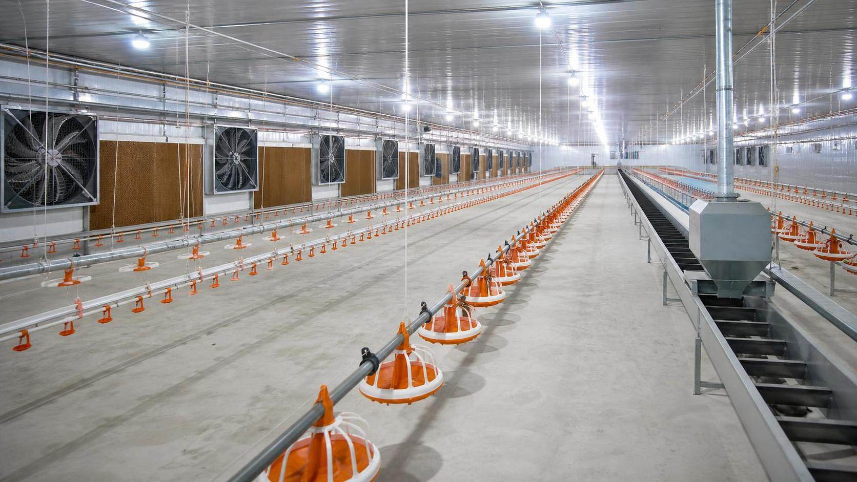 List of Equipment Used in Poultry Farming for Capacity Planning List of Equipment Used in Poultry Farming for Capacity Planning