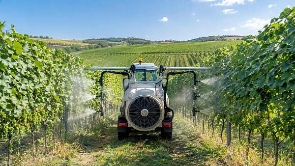 How to Choose Plant Protection Equipment for Vineyard Pests