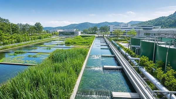 How Ecological Engineering Systems Improve Wastewater Treatment Resilience