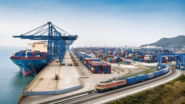 Land-Sea Interconnection Challenges in Port Logistics and Cargo Flow
