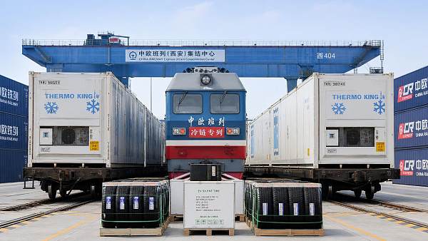 Cold-Chain Rail Adds Compliance Value for EV Silent Tires