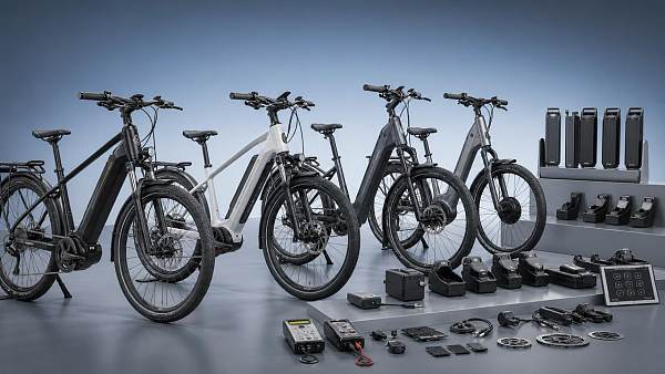 Electric Bike Technology Features Worth Comparing Before Fleet закупка