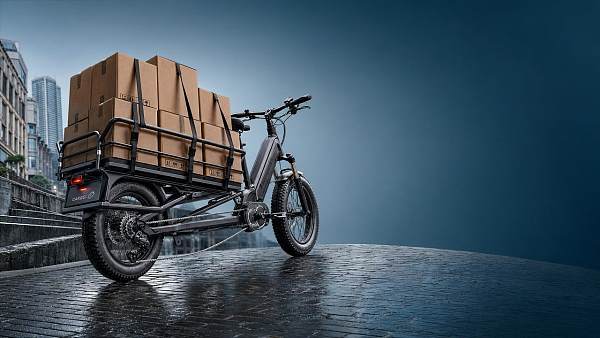 How Electric Torque Changes Hill Climbing on Cargo E-bikes