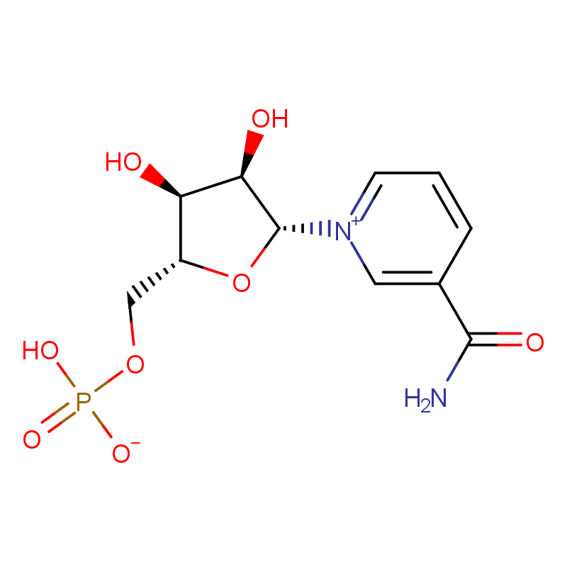 Mononucleótido de nicotinamida CAS#1094-61-7